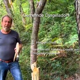 Info-Stop Konstanz-Dingelsdorf